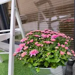 Apartament With Free Parking Warna
