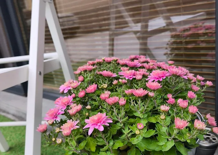 Apartment With Free Parking Varna